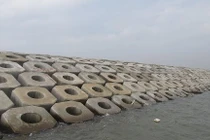  Kỹ sư 80 tuổi đề xuất làm bê tông chắn sóng từ… nhựa