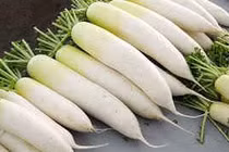 Đại toán trị tiểu ra máu