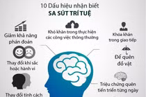Kiện tỳ, bổ thận cho người sa sút trí tuệ