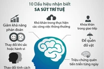 Kiện tỳ, bổ thận cho người sa sút trí tuệ
