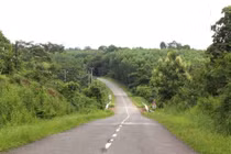 Đồng Nai đề nghị UNESCO cho ý kiến xây 'quốc lộ xuyên rừng' 