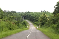 Đồng Nai đề nghị UNESCO cho ý kiến xây 'quốc lộ xuyên rừng' 