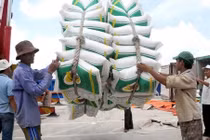 Quy định loại gạo thơm được miễn thuế khi xuất sang EU