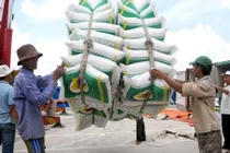 Quy định loại gạo thơm được miễn thuế khi xuất sang EU