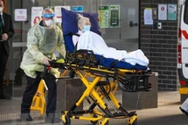 Bệnh nhân mắc Covid- 19 ở Úc.