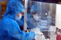 Phát hiện biến thể mới virus SARS-CoV-2 tại Việt Nam