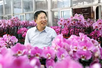 “Ông hoàng hoa lan” và khát vọng vươn tầm thế giới 
