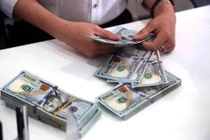 Ngân hàng Nhà nước thay đổi phương án mua ngoại tệ