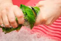 “Xà phòng” để giặt đồ trong nước biển