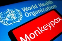 Đậu mùa khỉ lan ra 50 nước, chưa phải là tình trạng khẩn cấp y tế toàn cầu
