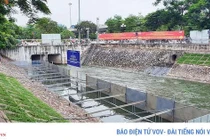 JEBO: “Chủ tịch UBND Thành phố Hà Nội thông tin "sai sự thật"