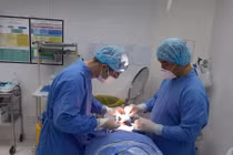 PGS.TS.BS Phạm Hiếu Liêm -Phó Trưởng Khoa Y, Trưởng bộ môn Phẫu thuật Tạo hình – Thẩm mỹ Trường ĐHY khoa Phạm Ngọc Thạch, Trưởng Đơn vị Phẫu thuật Tạo hình Thẩm mỹ - BV Da Liễu TPHCM đang xử lý ổ nhiễm trùng của BN N.T.T.T.