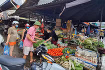 Người dân tại Phân vùng 1 ở Hà Nội sẽ đi chợ theo phiếu được phát (ảnh: NT)