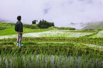 Bỏ phố về quê: Người trẻ hoang mang giữa những khác biệt