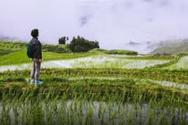 Bỏ phố về quê: Người trẻ hoang mang giữa những khác biệt