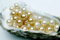 Nhận biết ngọc trai làm bằng thủy tinh, chất dẻo
