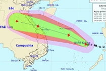 Bão số 5 gây mưa 400 mm, sóng biển cao 7 m