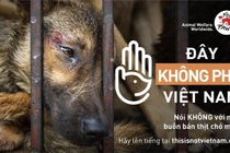Việt Nam nói không với thịt chó mèo