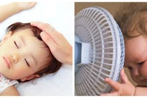 Thốc quạt cho mát thành viêm phế quản