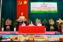 Tìm giải pháp bảo tồn và phát triển làng nghề Thủ đô