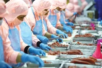 VASEP đề xuất giảm 30% tiền điện cho doanh nghiệp thuỷ sản