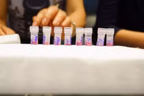 Xét nghiệm tầm soát 8 quận, huyện có người hội truyền giáo sinh sống