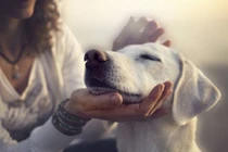 Bộ Y tế: F0 không được tiếp xúc với vật nuôi trong nhà