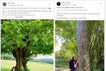 Triệu cây vươn cao Việt Nam xanh”- Kết thúc đẹp của chiến dịch online được cộng đồng góp sức