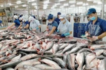 Xuất khẩu thủy sản tăng trưởng tốt