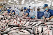 Xuất khẩu thủy sản tăng trưởng tốt