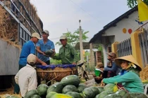 Xuất khẩu rau quả tháng 1/2022 đạt 300 triệu USD 