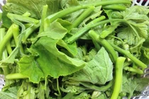 Nhận biết rau bí sạch