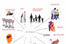 Những yếu tố nguy cơ bệnh tim mạch