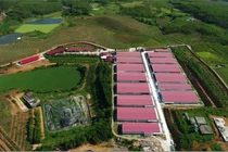 Dabaco và những lùm xùm về môi trường