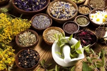 Bài thuốc điều trị tiểu ra máu