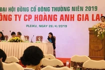 ĐHĐCĐ HAGL: 1-2 năm nữa khi có tiền, Bầu Đức sẽ mua vào cổ phiếu Công ty