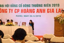 ĐHĐCĐ HAGL: 1-2 năm nữa khi có tiền, Bầu Đức sẽ mua vào cổ phiếu Công ty