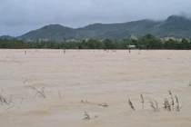 Nhiều tuyến đường ở Tuy Phước, tỉnh Bình Định bị ngập sâu.