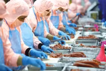 Việt Nam: Top 3 các nước xuất khẩu thủy sản lớn nhất thế giới