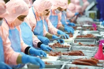 Việt Nam: Top 3 các nước xuất khẩu thủy sản lớn nhất thế giới