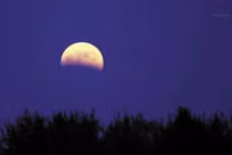 Đừng bỏ qua hiện tượng nguyệt thực tái xuất