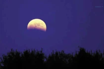 Đừng bỏ qua hiện tượng nguyệt thực tái xuất