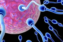 Thực phẩm giúp tinh binh khỏe