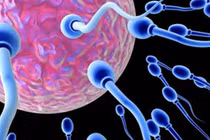 Thực phẩm giúp tinh binh khỏe