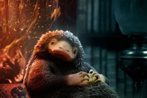 7 sinh vật huyền bí “đốn tim” khán giả trong Những bí mật của Dumbledore