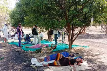 Ấn Độ trong 'sóng thần' COVID-19: Bệnh nhân nằm dưới tán cây truyền dịch