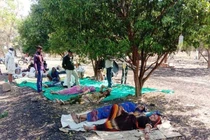 Ấn Độ trong 'sóng thần' COVID-19: Bệnh nhân nằm dưới tán cây truyền dịch