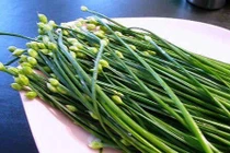 Cây hẹ, kháng sinh từ thiên nhiên