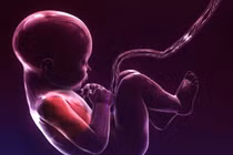 Theo dõi cử động thai nhi để xử lý kịp thời dây rốn thắt nút