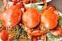 Ngộ độc hải sản – Nỗi lo mùa du lịch